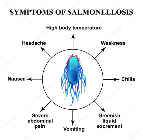 symptoms  salmonellosis  structure  salmonella infographics