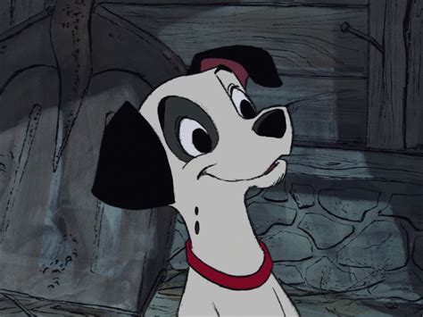 patch  dalmatians wiki fandom