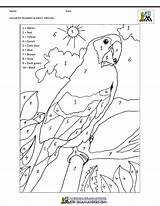Macaw Salamanders sketch template