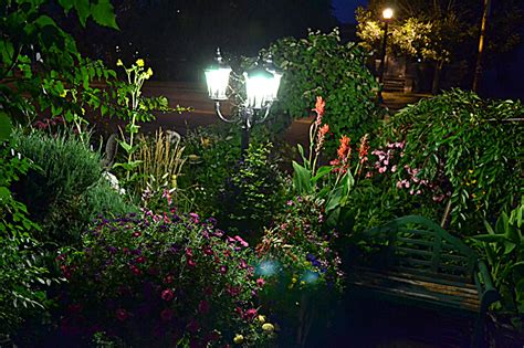 nighttime view  garden  packs  flowers  small space