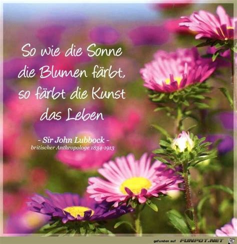 astern spruchjpg von hansruedi german quotes words happy sunday