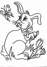 Colorare Coniglietto Coniglio Fattoria Disegno Coniglietti Didattica Coniglia sketch template