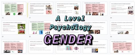 Psychology A Level Gender Revision Cards Teaching Resources