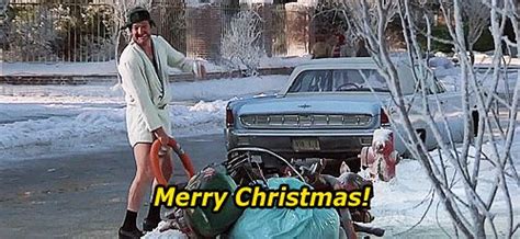17 best images about christmas vacation on pinterest