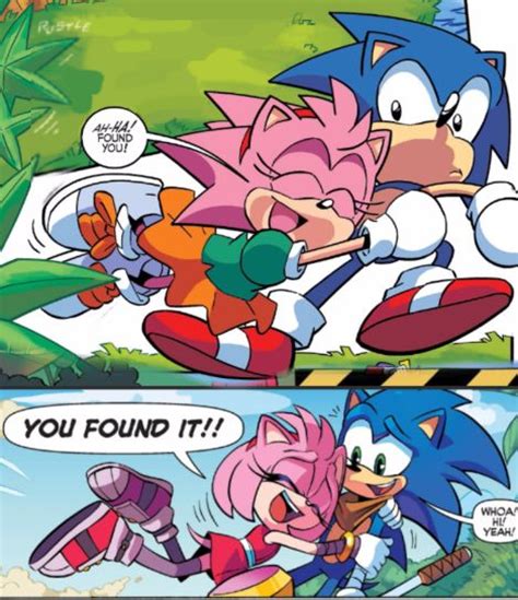 2395 best sonamy images on pinterest amy rose hedgehogs and couples