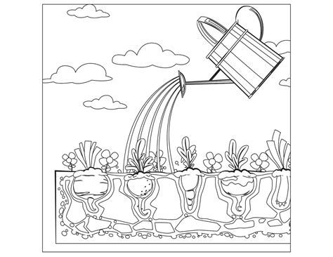 coloring pages  vegetable gardens vegetable garden coloring