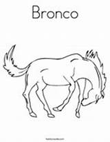 Coloring Broncos Bronco Go Pages Horse Mustangs Sterling Pumpkins Deer Eat Twistynoodle Noodle Getdrawings Getcolorings sketch template
