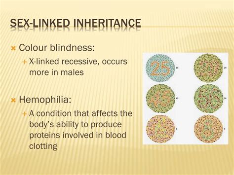 ppt sex linked traits and pedigree charts powerpoint