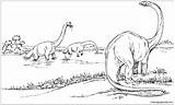 Brachiosaurus Brachiosauro Gallimimus Dinosaurs Stampare Dinosauri sketch template