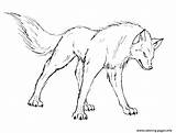 Wolf Coloring Pack Pages Getcolorings sketch template