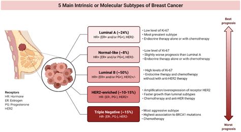 Cancers Free Full Text Valproic Acid And Breast Cancer State Of