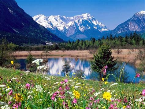 Leffet Du Printemps Sur La Nature Soulès Paysages