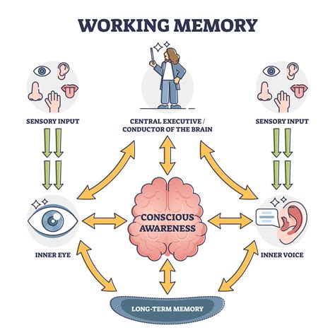 phonological working memory  children   adhd