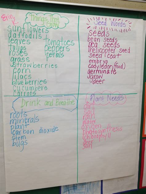list group label vocabulary strategy