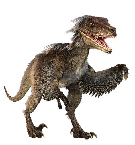 velociraptor extinct animals