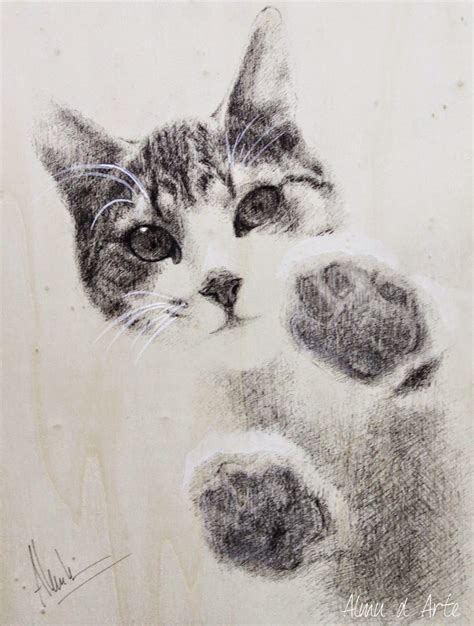 gatos dibujos  lapiz buscar  google art    pinterest cat drawings  tattoo