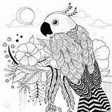 Papagei Mandala Loros Loro Kleurplaat Papegaai Parrot Mandalas Imprimir Nicaragua Illustration Hermoso Mewarn15 Gezeichnet Ausmalbilder Aves sketch template