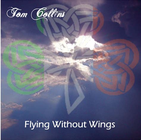 flying  wings tomcollinslive
