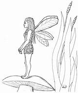 Fairies Robin Drawings sketch template
