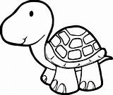 Kura Mewarnai Tortoise Turtle Familyfriendlywork sketch template