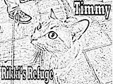 Rikki Timmy Refuge sketch template