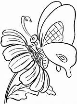 Butterfly Coloring Pages Butterflies Drawing Kids Flower Flowers Clipart Easy Color Step Comments Getdrawings Library Coloringhome sketch template
