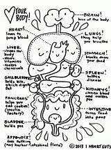 Coloring Pages Body Human Preschoolers Organs Anatomy Kids Library Clipart sketch template