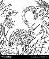 Coloring Summer Time Flamingo Vector Book Royalty sketch template
