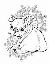 Bulldog Elsharouni Bulldogs Meredith Pamela Zentangle sketch template