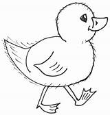 Baby Draw Drawing Chicks Easy Animal Cartoon Cute Duck Chick Chicken Coloring Animals Drawings Step Kids Steps Sheet Farm Drawinghowtodraw sketch template