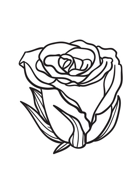 rose flower adult coloring page etsy