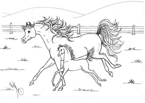 horse mother running   baby  horses coloring page netart