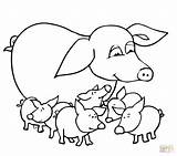Colorir Desenhos Porcos Porco Sau Ausmalbilder Ausmalbild Ferkeln Pigs Kolorowanki Schwein Porquinhos Sketchite sketch template