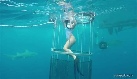 porn star s viral video of shark attack during cage dive is a fake irish mirror online