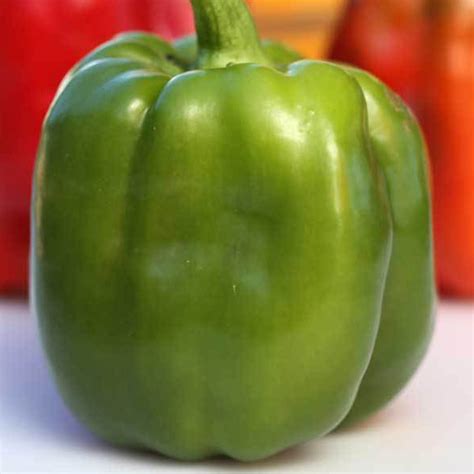 organic emerald giant pepper seeds  mg  seeds  gmo open pollinated heirloom