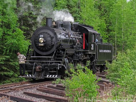 signs  summer steam engines  lupine  days  birds