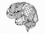 Brain Kurven Menschlichen Dekorative Kreativer Gekritzels Verstand Gehirns Menselijke Mening Krommen Creatieve Decoratieve Spine Stress sketch template