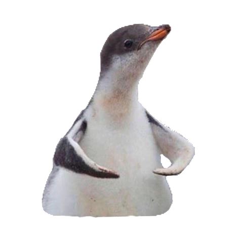 flexing penguin  vickithechen redbubble