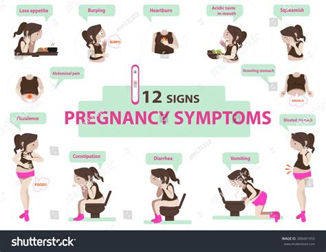 signs pregnancy symptoms infographicvector illustration stock vector