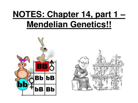 Ppt Notes Chapter 14 Part 1 Mendelian Genetics