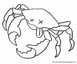 Crab Hermit Coloring Pages Cartoon Template Printable Sheet sketch template
