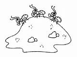 Anthill Coloring Pages Color Ants Card Template Kids sketch template