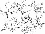 Caballo Pony Pferde Foal Caballos Pferd Ausmalen Lea Fohlen Kostenlose Cowboys Paracolorear sketch template