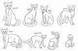 Cats Bases F2u Warriors Allegiance Deviantart sketch template