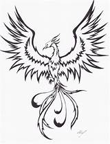 Phoenix Tattoo Bird Drawing Pheonix Draw Tribal Drawings Fire Deviantart Birds Mythical sketch template