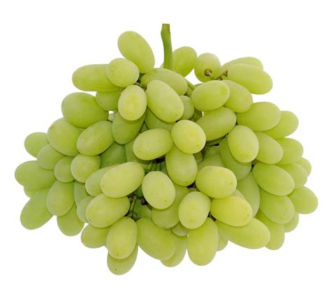 stella bella green seedless grapes kg momobud