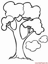 Tree Cartoon Coloring Pages Para Colorear Template Seleccionar Tablero Coloringpagesfree Plants Next sketch template
