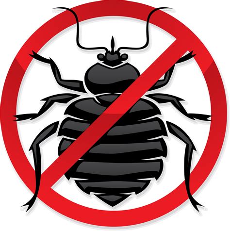 bed bug removal   top tips bed bug guide