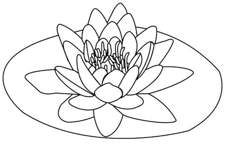 floating lotus flower coloring pages coloringstar sunflower coloring