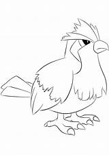 Pokemon Pidgey Coloring Pages Color Drawing Printable Generation Kids Normal Type Line Print sketch template